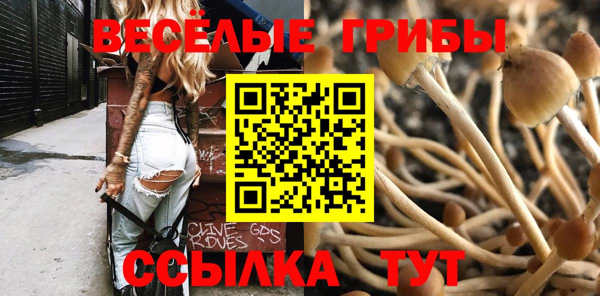 Галлюциногенные грибы GOLDEN TEACHER Зерноград